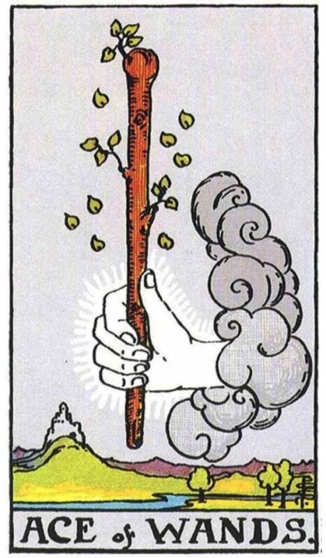 Ý nghĩa lá bài Ace of Wands - Lá Bài Át Gậy